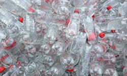 Botellas PET vacías antes de compactar