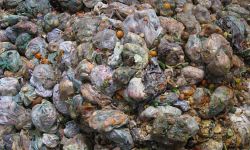 Residuos alimenticios listos para drenar en el compactador de tornillo