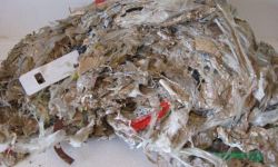 Desechos plásticos secados en el compactador de tornillo